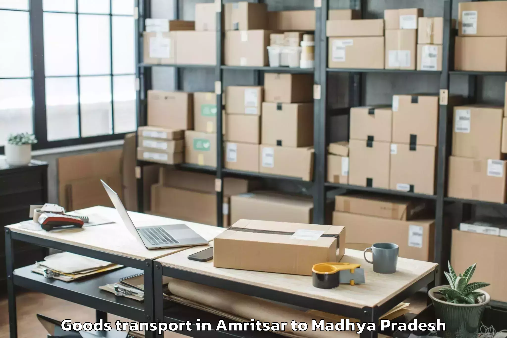 Expert Amritsar to Malwanchal University Indore Goods Transport